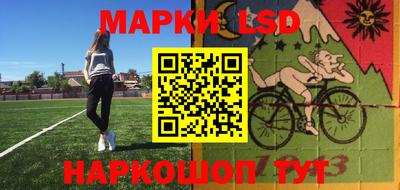 крисы Гатчина