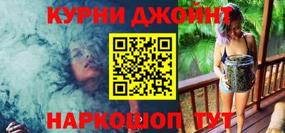 крисы Гатчина