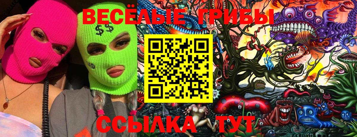купить наркотики сайты  Галлюциногенные грибы мицелий  Вход с VPN  Псилоцибиновые грибы мухоморы  Новокубанск 